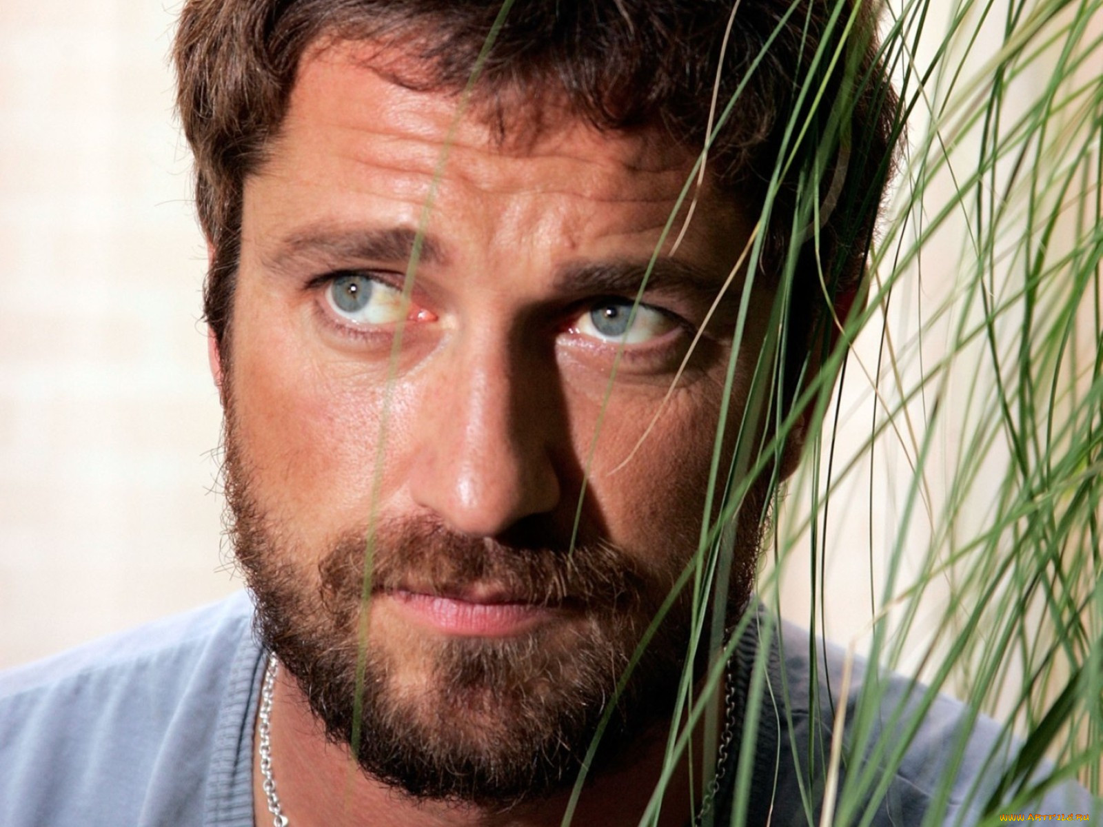 gerard, butler, 